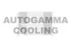 AUTOGAMMA 103323 Condenser, air conditioning